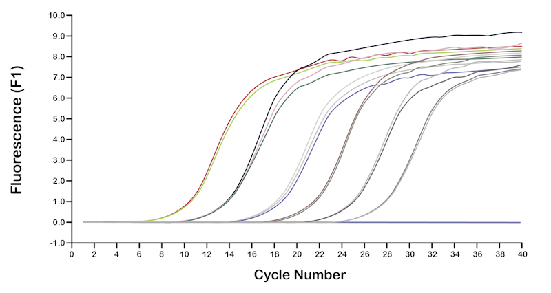 real time pcr machines