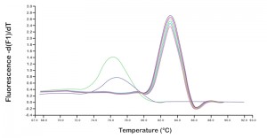 real time pcr TM