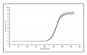 Test Results Graph PCR